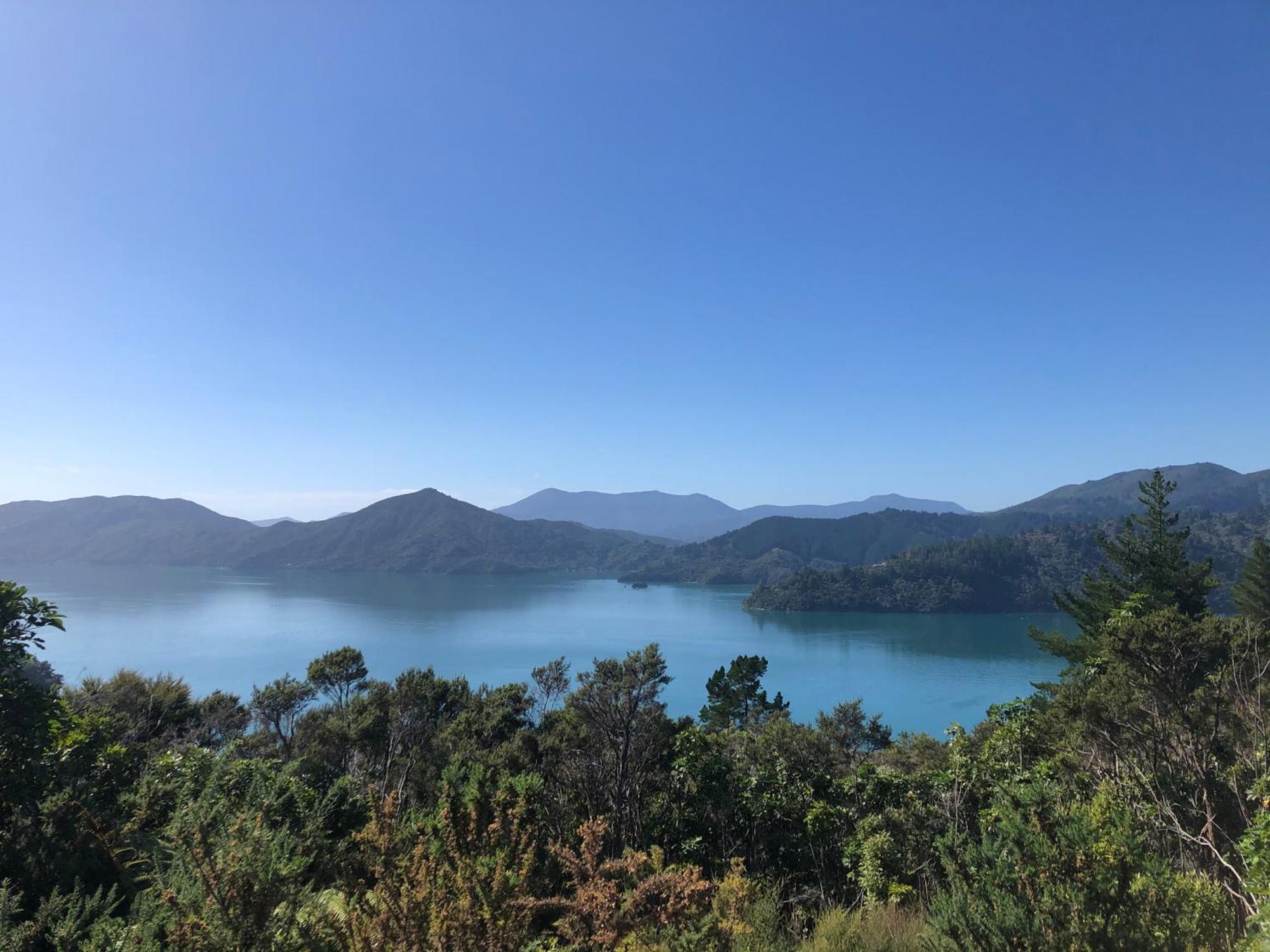 Raetihi Lodge Kenepuru Sounds 외부 사진
